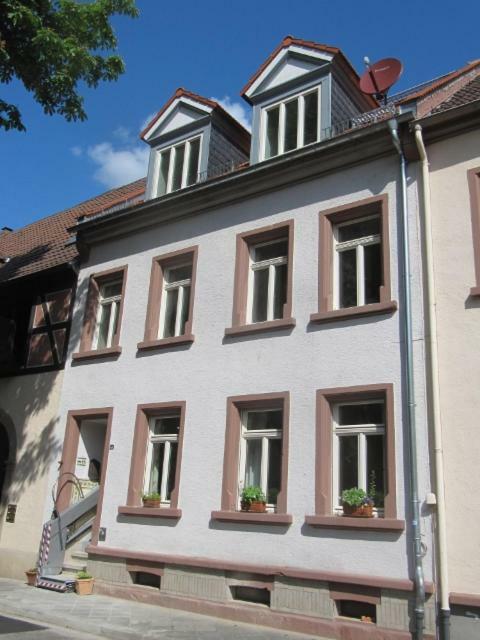 Zwischen-Rhein-Und-Reben, Zentral, Barrierefrei Apartment Speyer Exterior photo